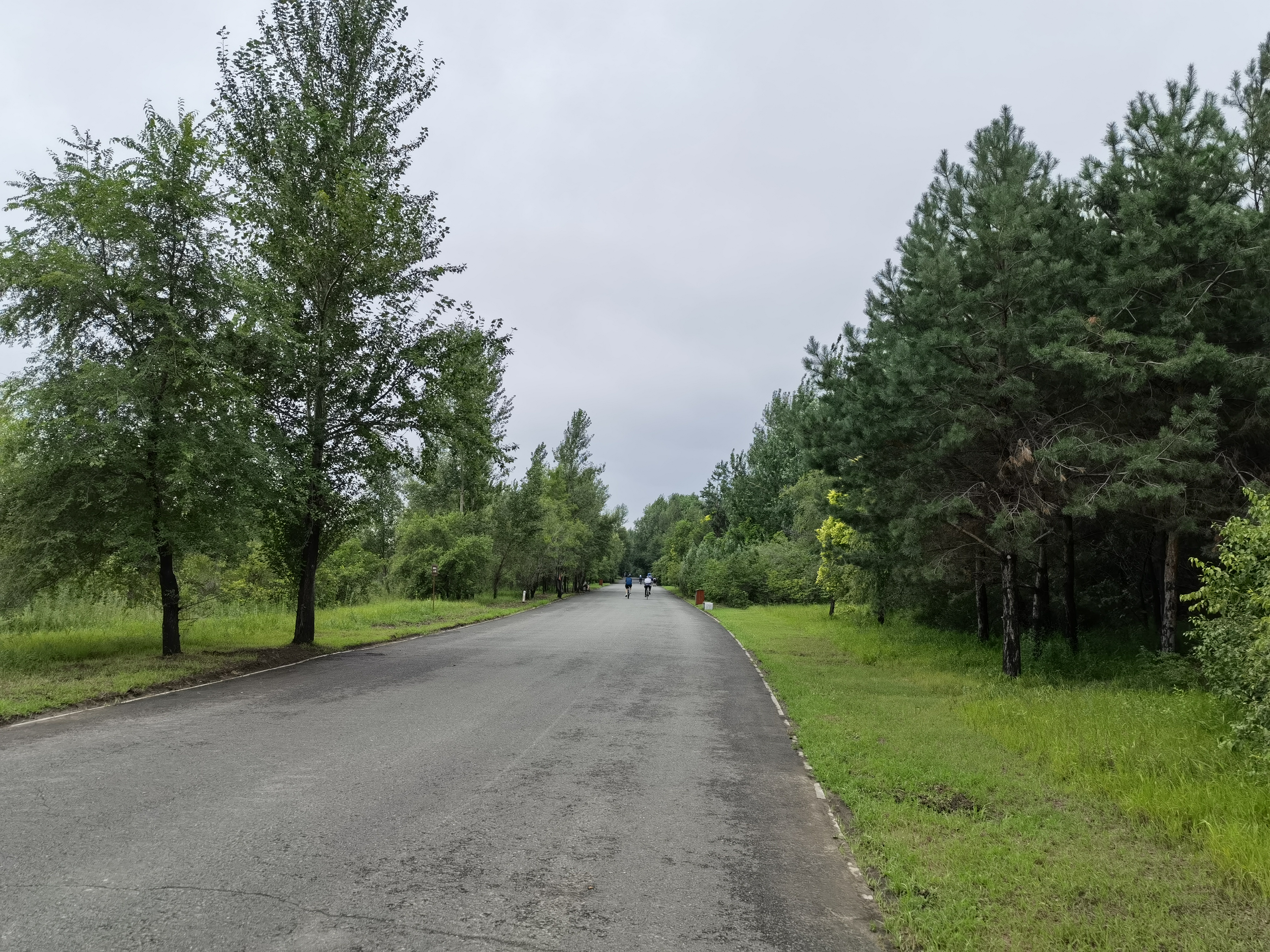 LOL直播-关于社区盾今晚走向成谜，多特蒙德战术微调，话题不断，训练强度明显提升的信息